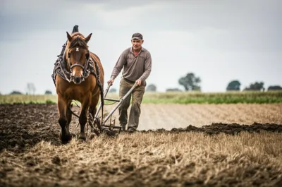 Illustration plough - Image 1