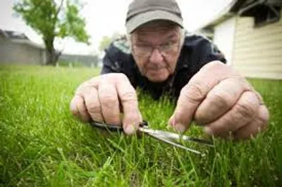 Illustration scrutinize - Image 2