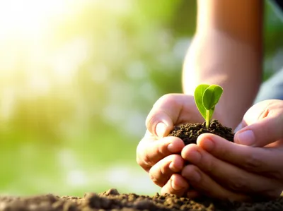 Illustration appreciating - Image 1