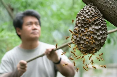 Illustration provoking - Image 1