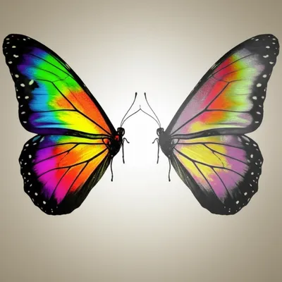 Illustration conjugates - Image 1