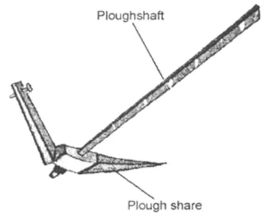 Illustration share - Image 2