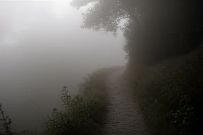 Illustration obscurities - Image 1