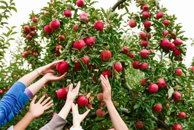 Illustration giving - Image 1