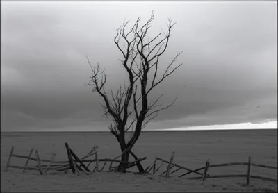 Illustration desolate - Image 1