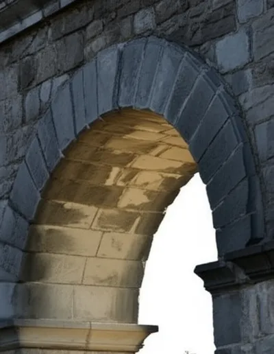 Hình ảnh minh họa springing - Ảnh 1