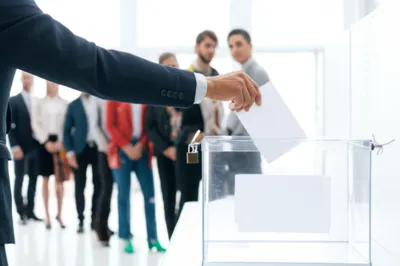 Illustration polls - Image 1