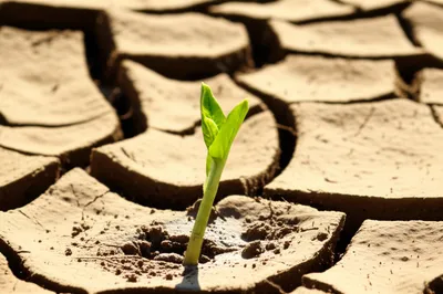 Illustration endurable