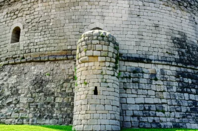 Illustration rondel - Image 1