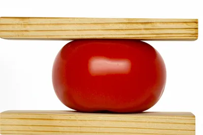 Illustration squeezes - Image 1