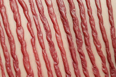 Illustration welt - Image 1