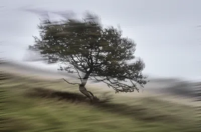 Illustration wavering