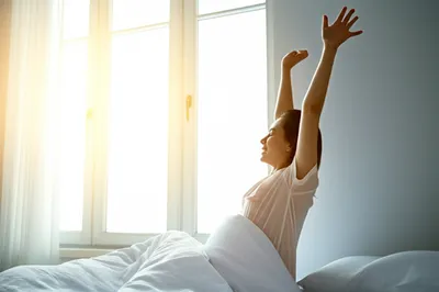 Illustration arose - Image 1