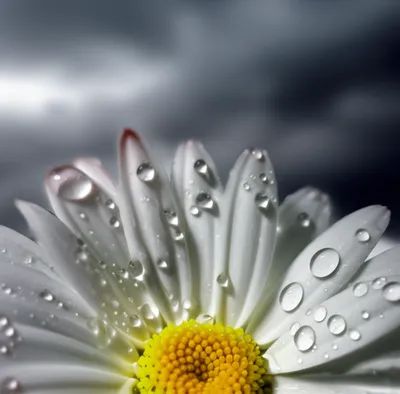 Illustration proved - Image 1