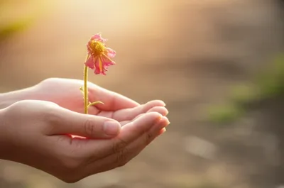 Illustration lenitive - Image 1