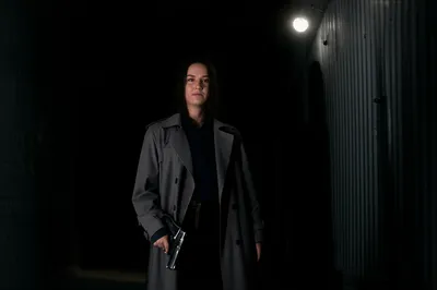 Illustration heeled - Image 1