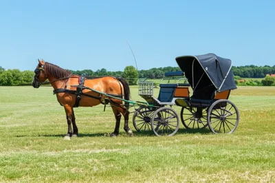 Illustration cabriolets - Image 1