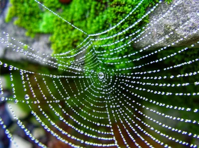 Illustration dampness