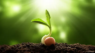 Illustration excited - Image 1