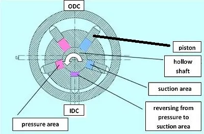 Illustration sucker - Image 2