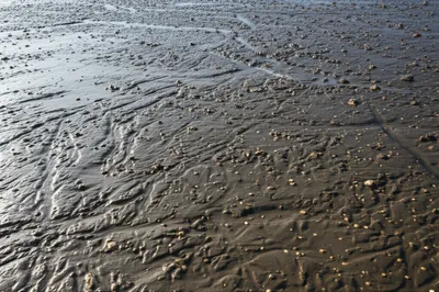 Illustration oozes - Image 1