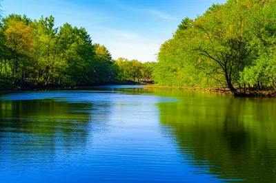 Illustration rich - Image 1