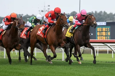 Hình ảnh minh họa maidens - Ảnh 1