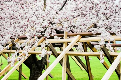 Illustration scaffold - Image 1