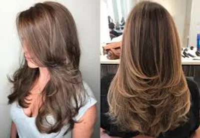 Illustration feather - Image 2