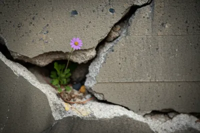 Illustration outweighed - Image 1