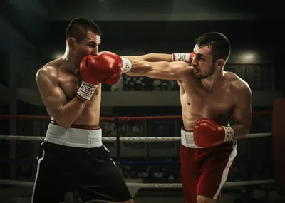 Illustration bouts - Image 1