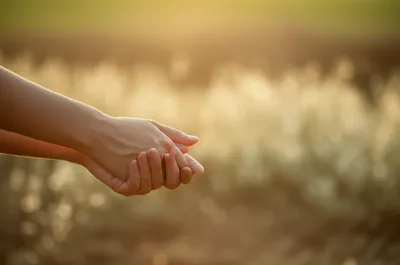 Hình ảnh minh họa ta