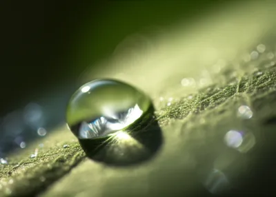 Illustration finer - Image 1