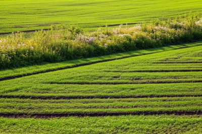 Illustration headlands - Image 1
