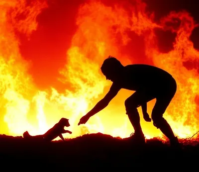 Illustration bravely