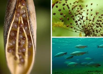 Illustration multiply - Image 1