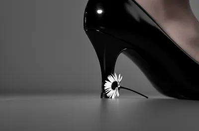 Illustration degrading - Image 1