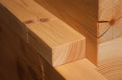 Illustration gain - Image 1