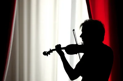 Illustration preluded - Image 1