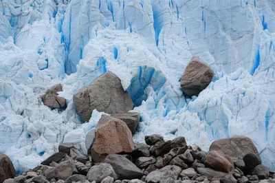 Illustration plucked - Image 1