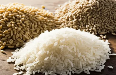 Illustration cereals - Image 1