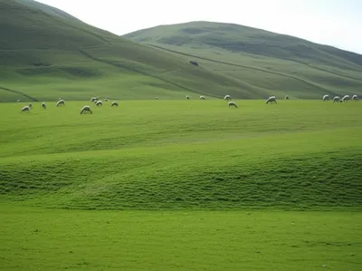 Illustration plateaus - Image 1