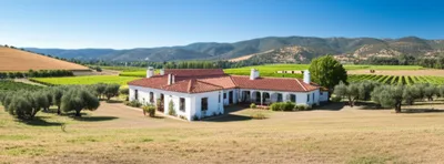 Illustration fincas - Image 1