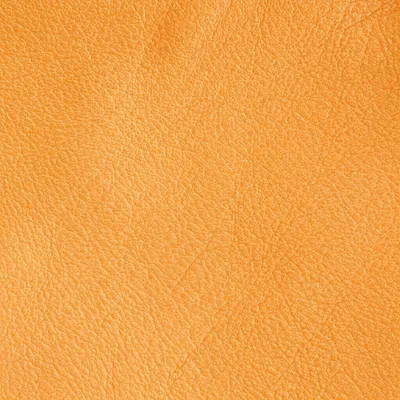 Illustration russet - Image 1