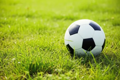 Illustration tickle - Image 1