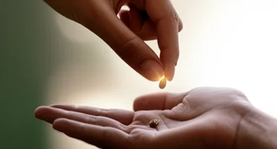 Illustration own - Image 1