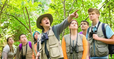 Illustration stringer - Image 1