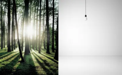 Illustration cut - Image 1