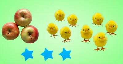 Illustration trinomial - Image 1