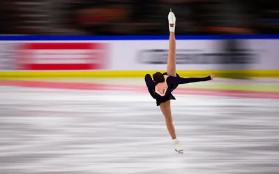 Illustration coordinated - Image 1